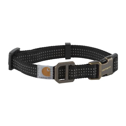 CAR-DOG COLLAR-P000034300104-001-LARGE