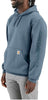 Carhartt mens Loose Fit Midweight Logo Sleeve Graphic Sweatshirt Closeout