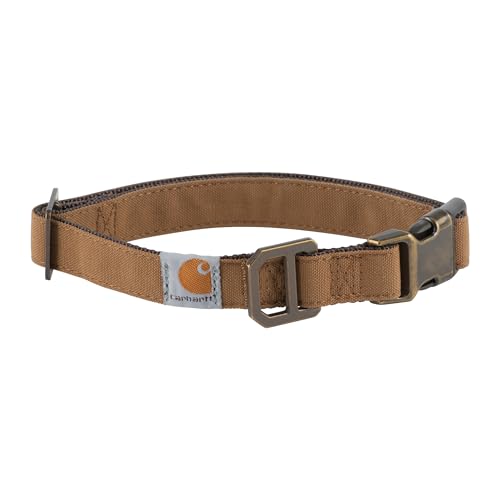 CAR-DOG COLLAR-P000034420103-201-MEDIUM