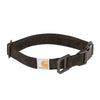 CAR-DOG COLLAR-P000034490103-MEDIUM