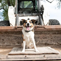 Carhartt P0000311 Durable Firm Duck Sherpa Top Dog Napper Pad, Washable Duck Canvas Pads for Dogs