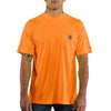 CAR-100493-824-SMALL: STK
