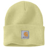 CAR-A18-GD2-OFA